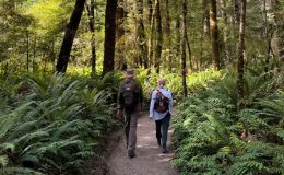 Tiaki Promise Blog Header Image Walking Kepler Track