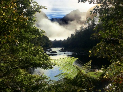 Milford Track view spot