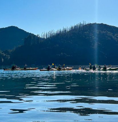 Landscape filler Queen Charlotte Sound thumb