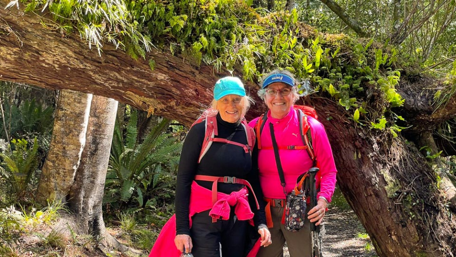 4 day walk on the Rakiura Track adventure tours2