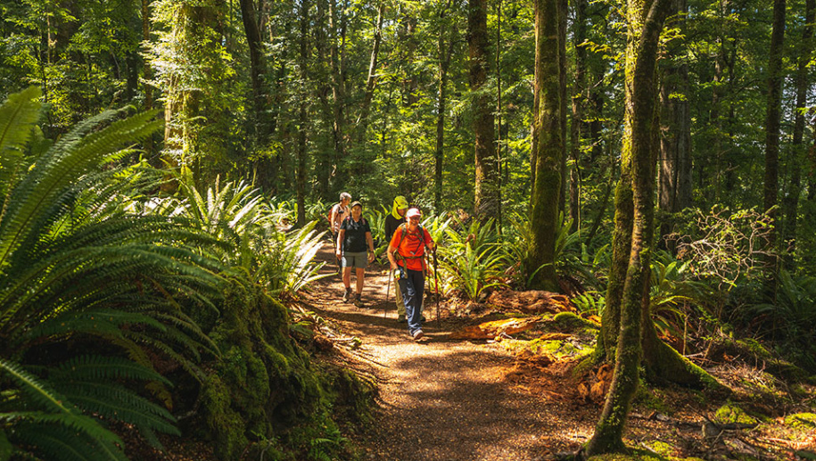 Guests Walking Kepler Track