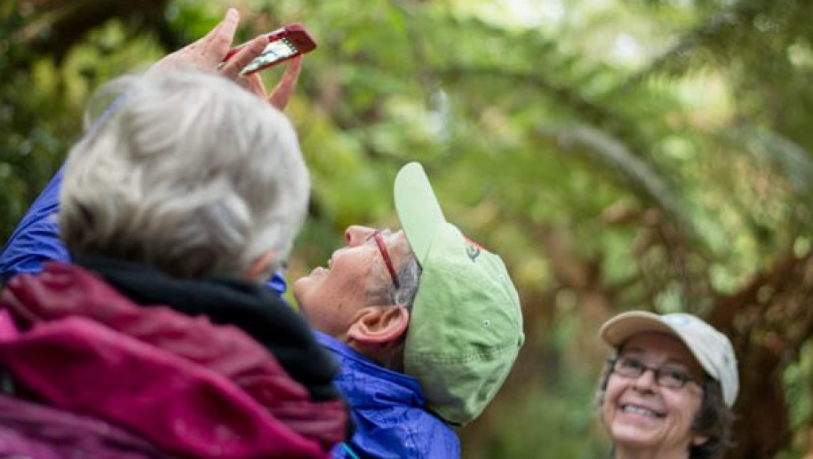 three women hiking in the forest