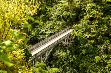Bridge to Nowhere visit Ruapehu S