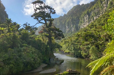 Adventure tours New Zealand to Pororari National Park, West Coast