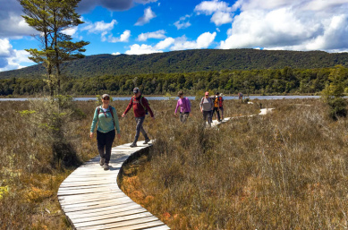 kepler track wetland group hike2