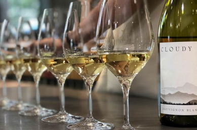 Marlborough wine tasting on New Zealand adventure tours