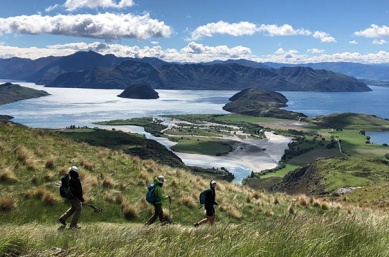 New Zealand guided hiking trips up Rocky Mountain in Wanaka