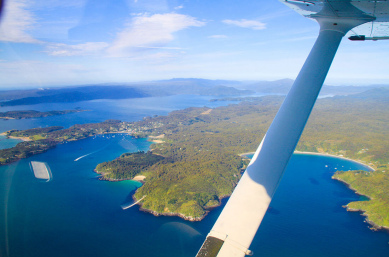 Stewart Island