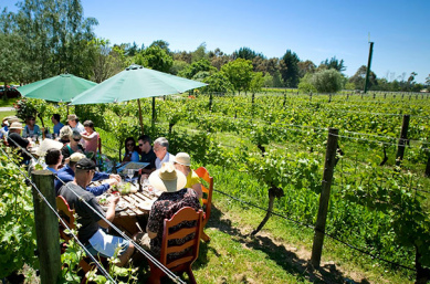 Vineyard lunch on an adventure trip New Zealand