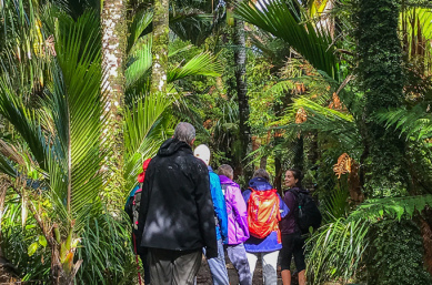 walking paparoa national park2