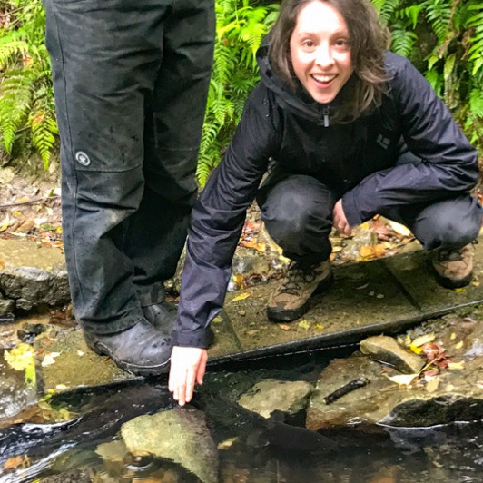 1. Guest with eel