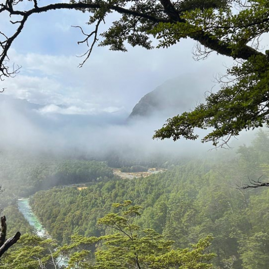 Routeburn Track 23FEB25