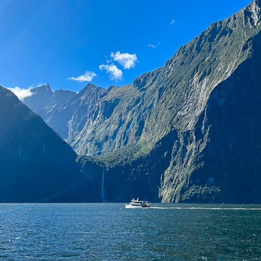 cruise Milford Sound 24MAR25